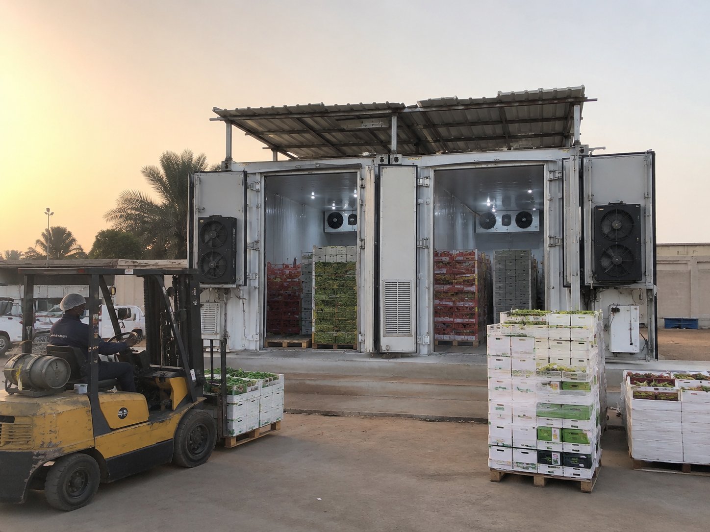 IceStorm blast freezer and cold storage projects across East Africa and Middle East